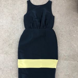 JCrew Silk Dress